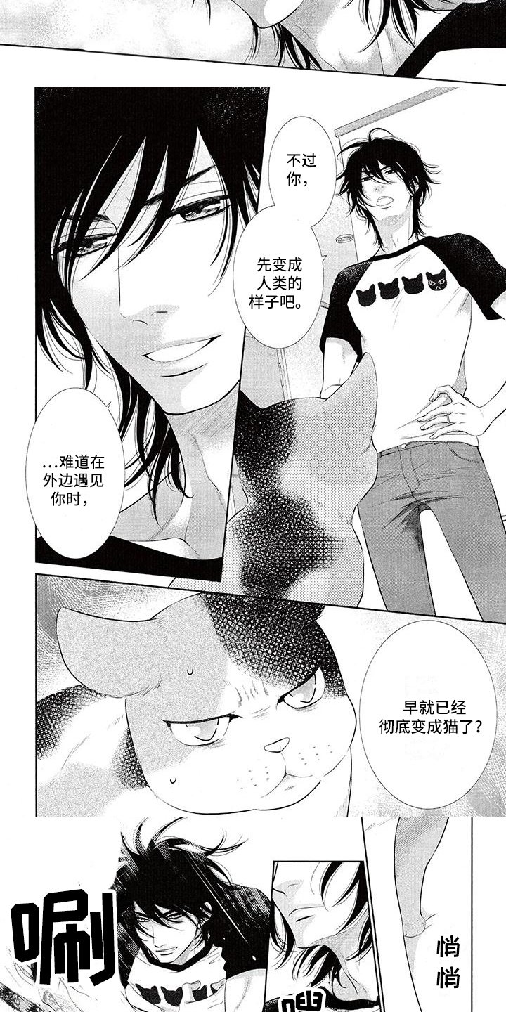 第3章：理直气壮