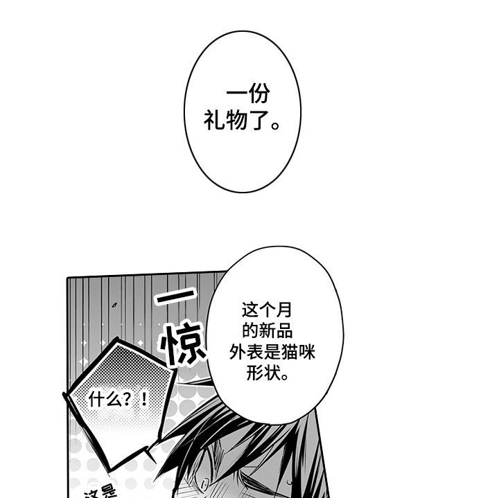第17章：新产品