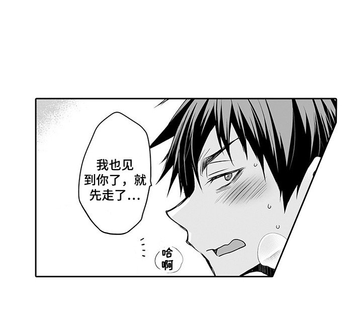 第17章：新产品