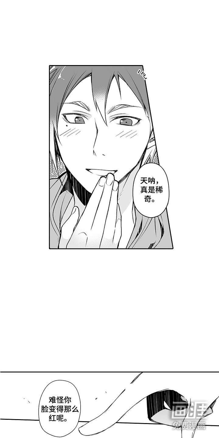 第19章：猜中了