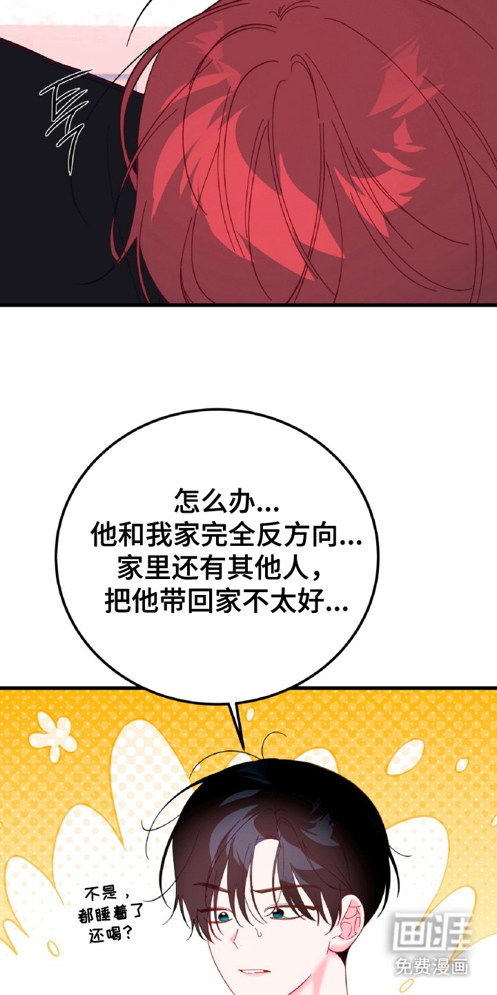 第12章：孤独的狼