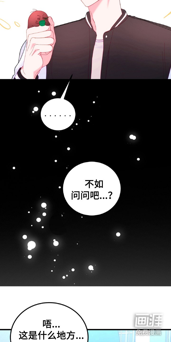 第12章：孤独的狼