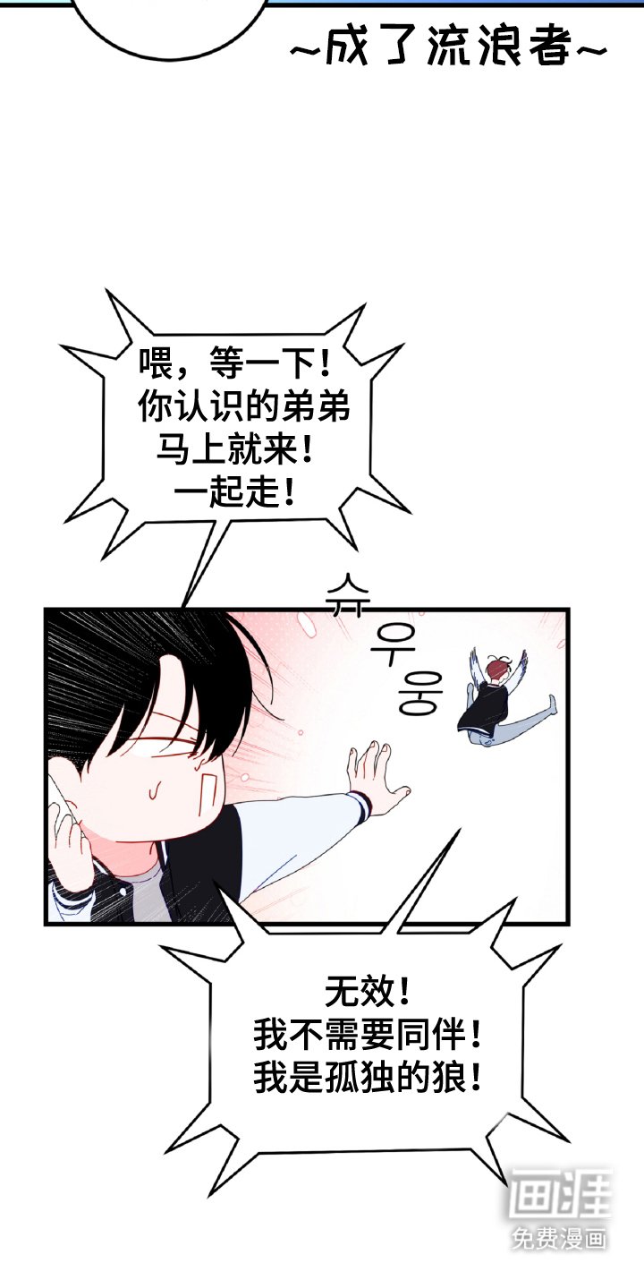 第12章：孤独的狼