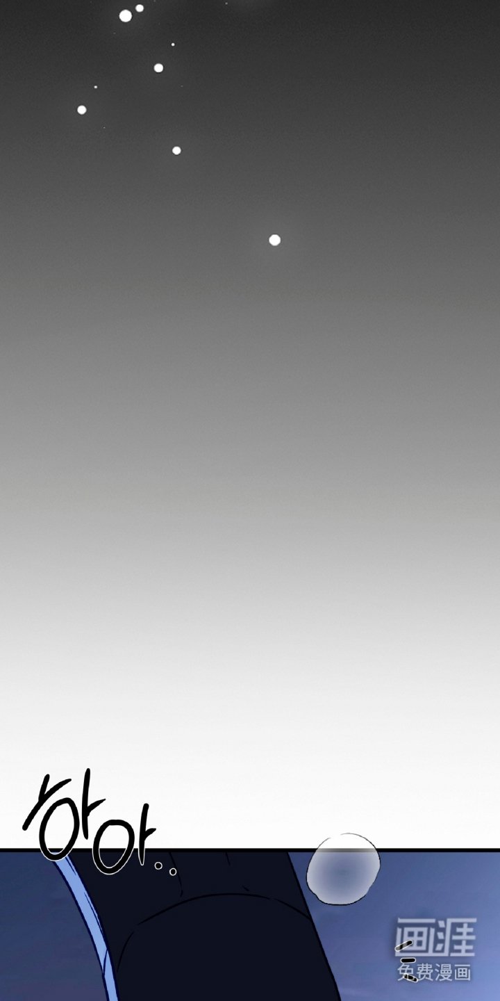 第12章：孤独的狼