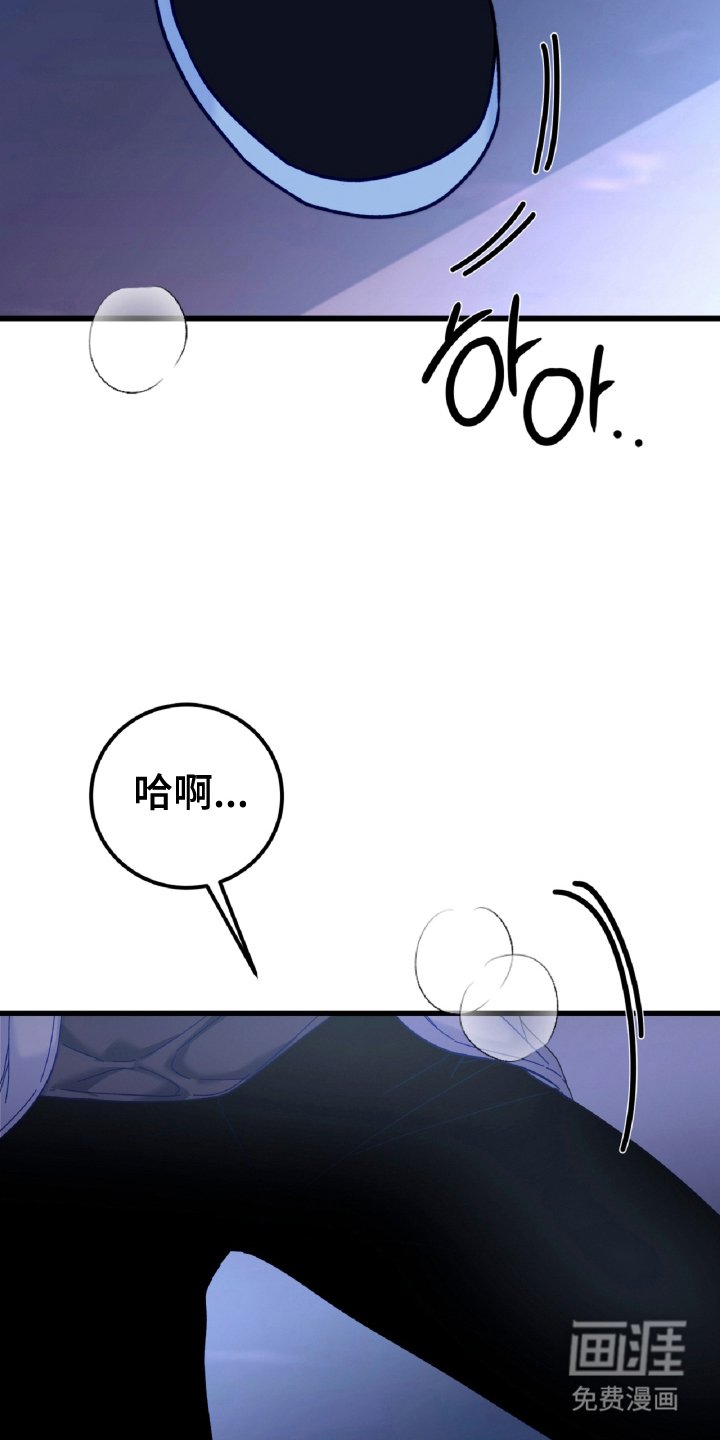 第12章：孤独的狼