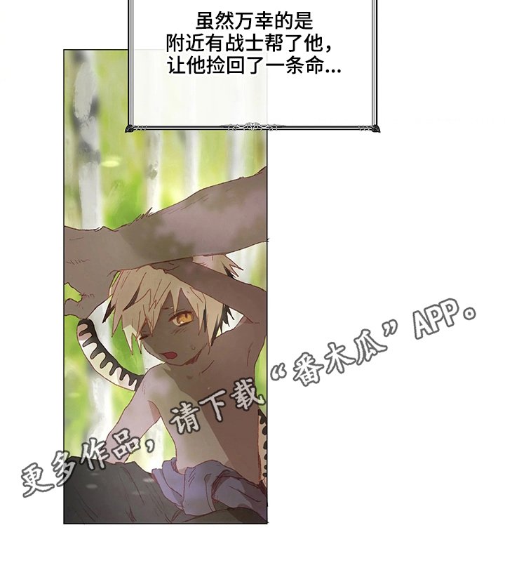 第11章：再来信