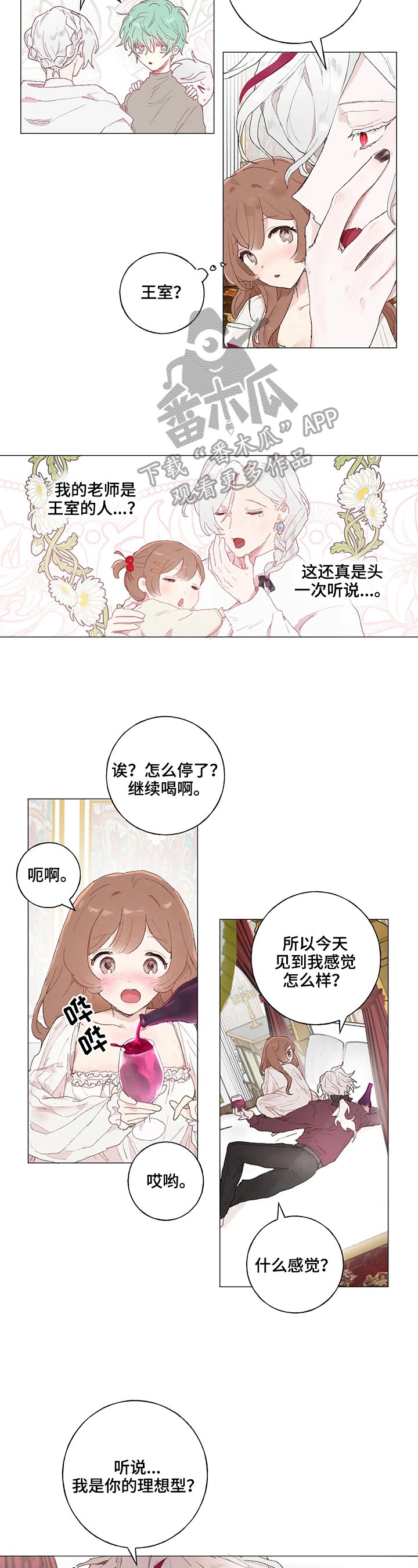 第16章：理想型