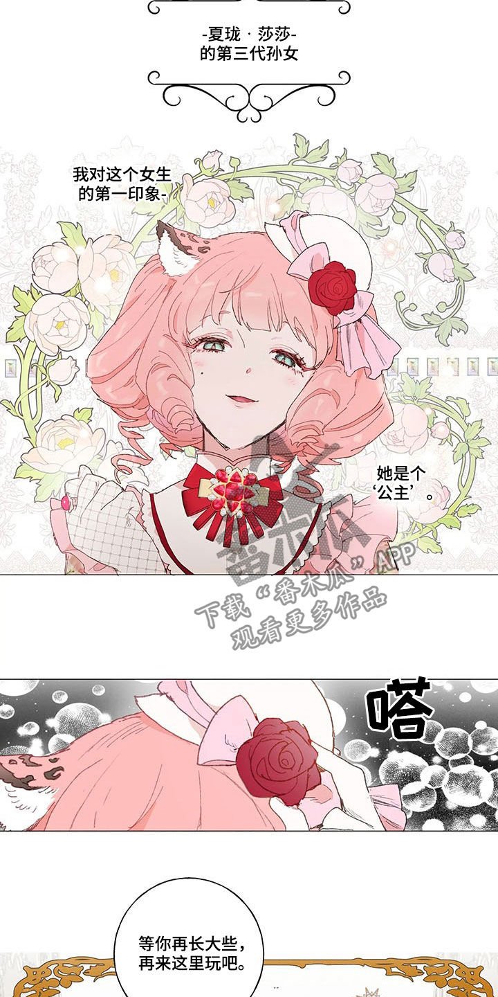 第21章：被跟踪