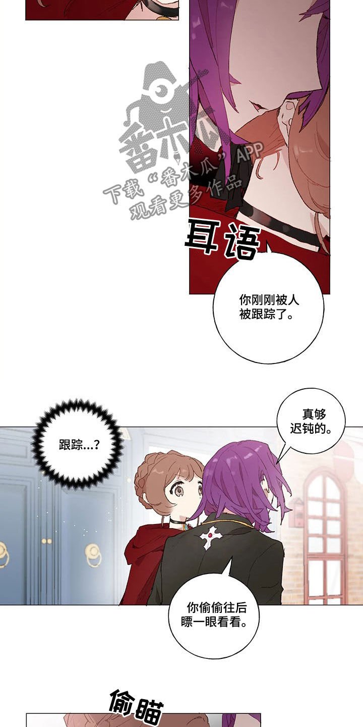 第21章：被跟踪