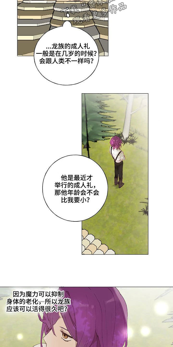 第23章：虚张声势