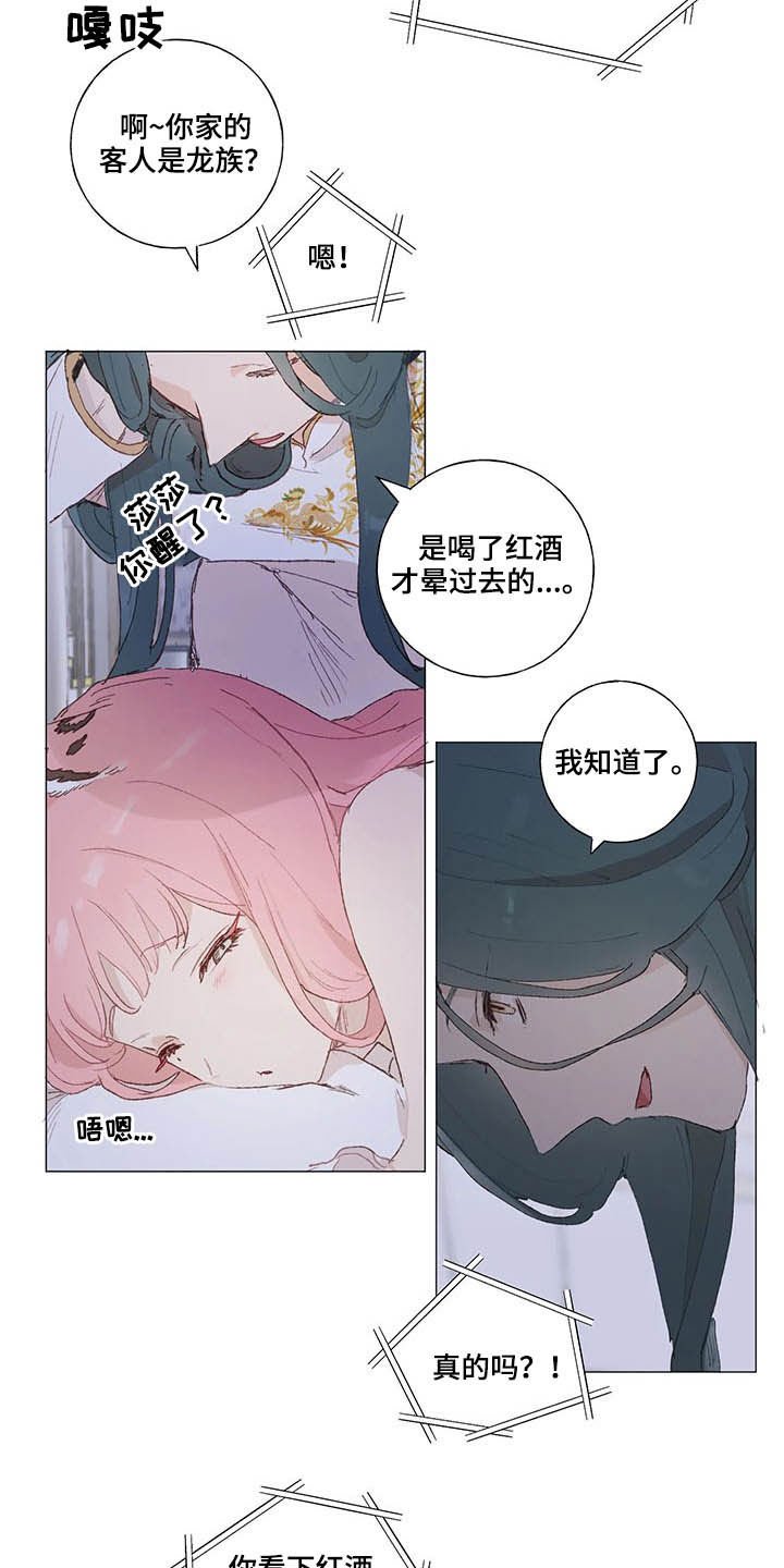 第24章：红酒