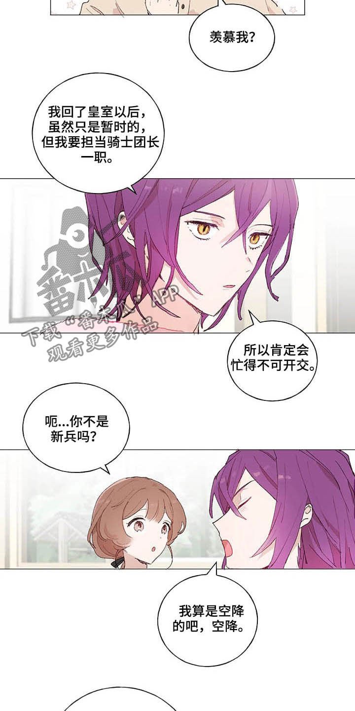 第28章：宠物