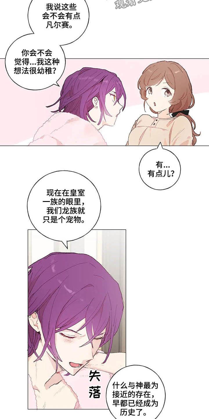第28章：宠物