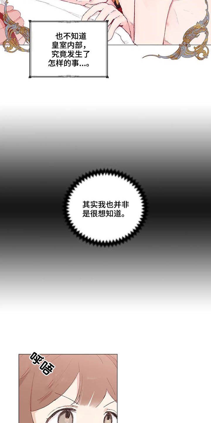 第28章：宠物