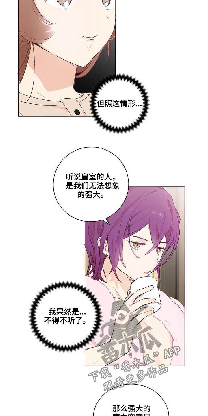 第28章：宠物