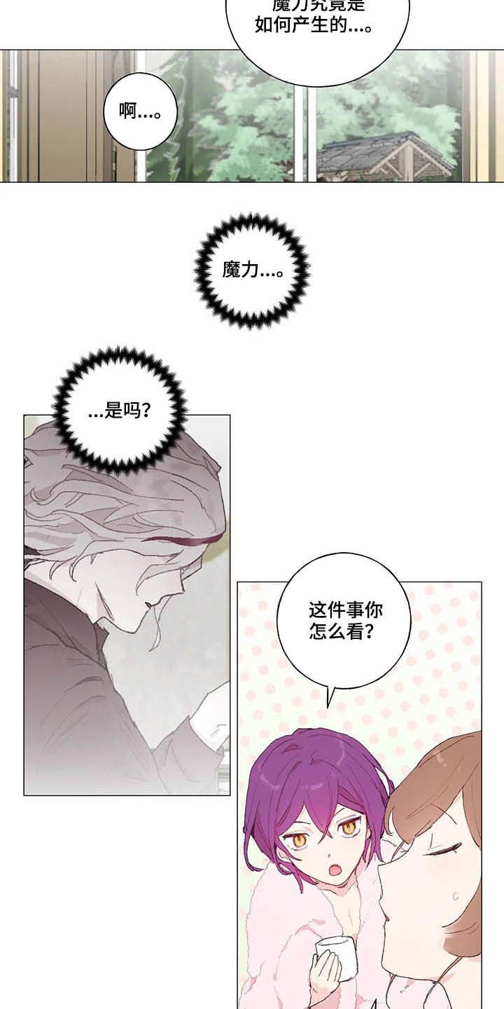 第28章：宠物