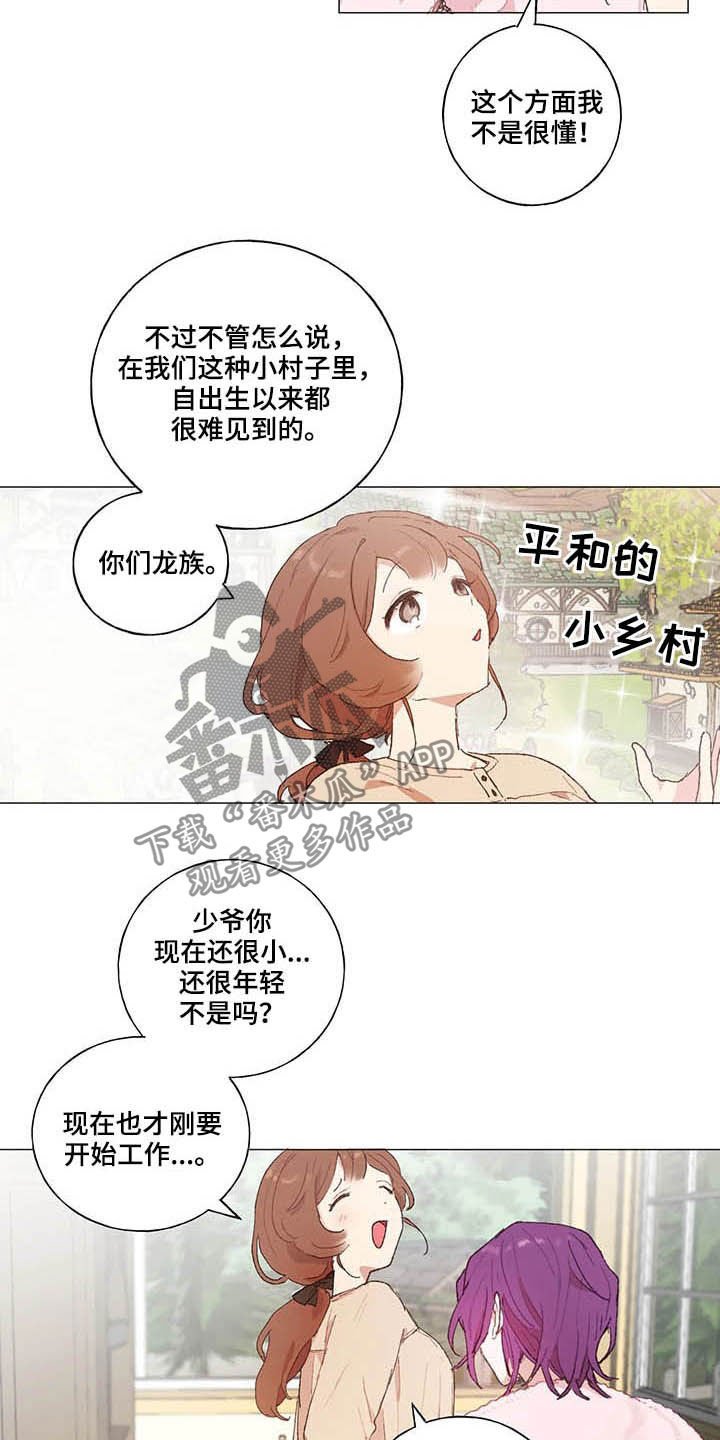 第28章：宠物