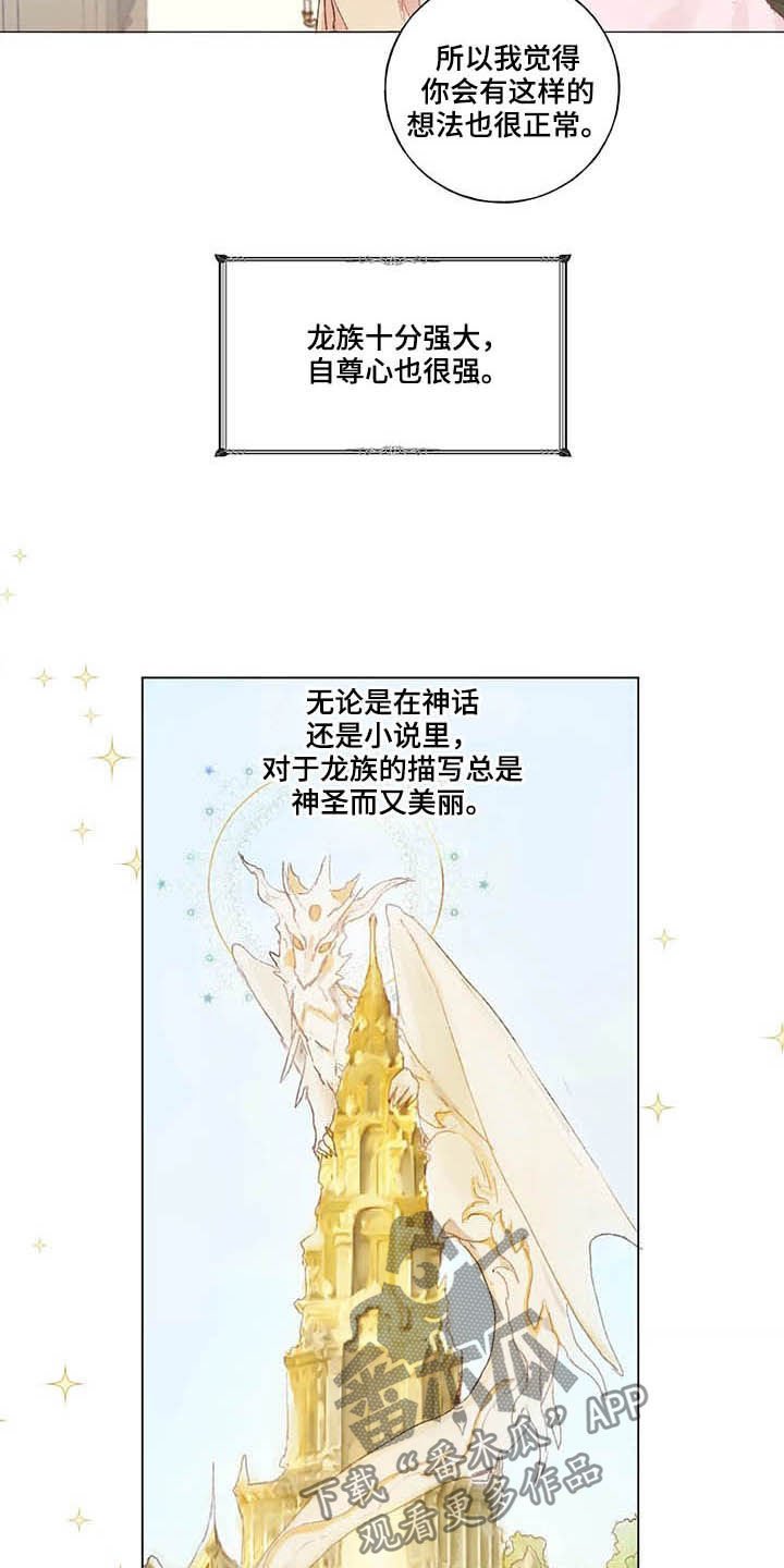 第28章：宠物