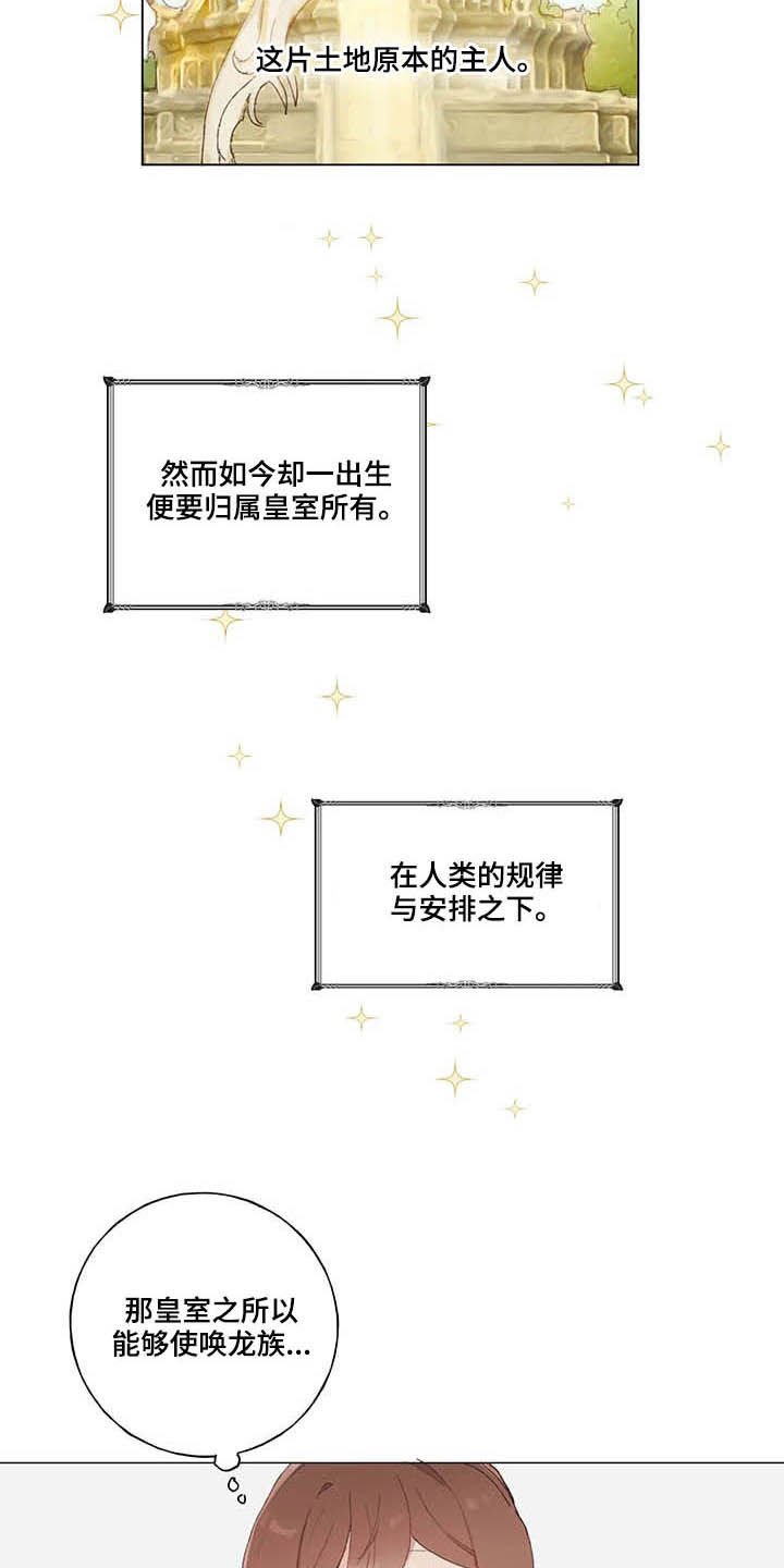 第28章：宠物