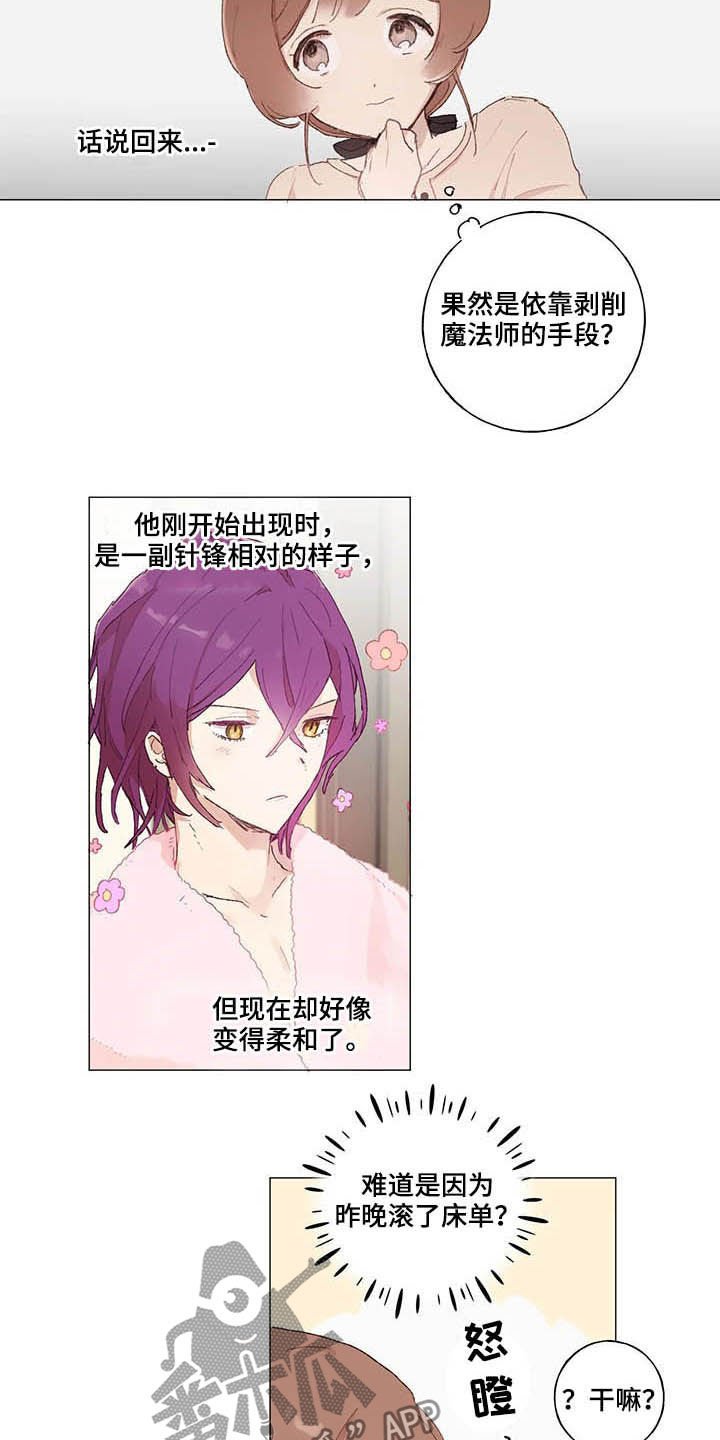 第28章：宠物