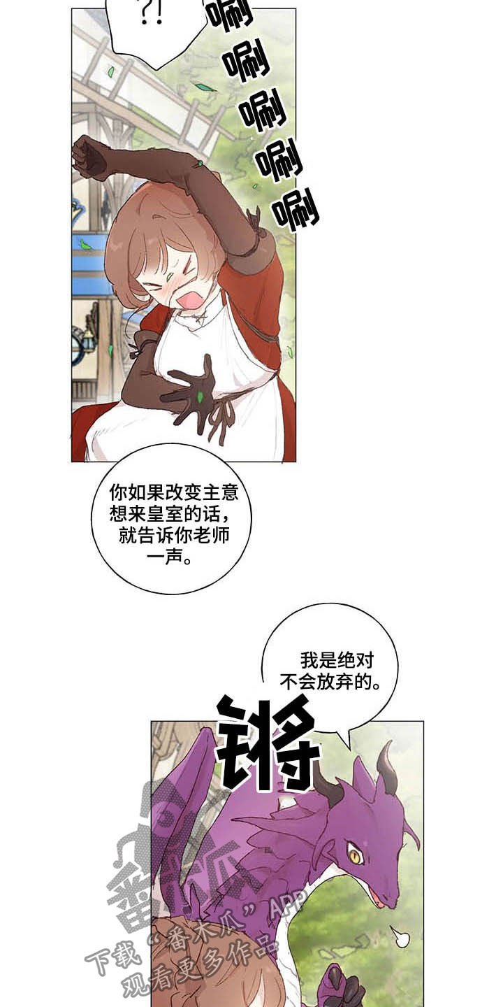 第28章：宠物