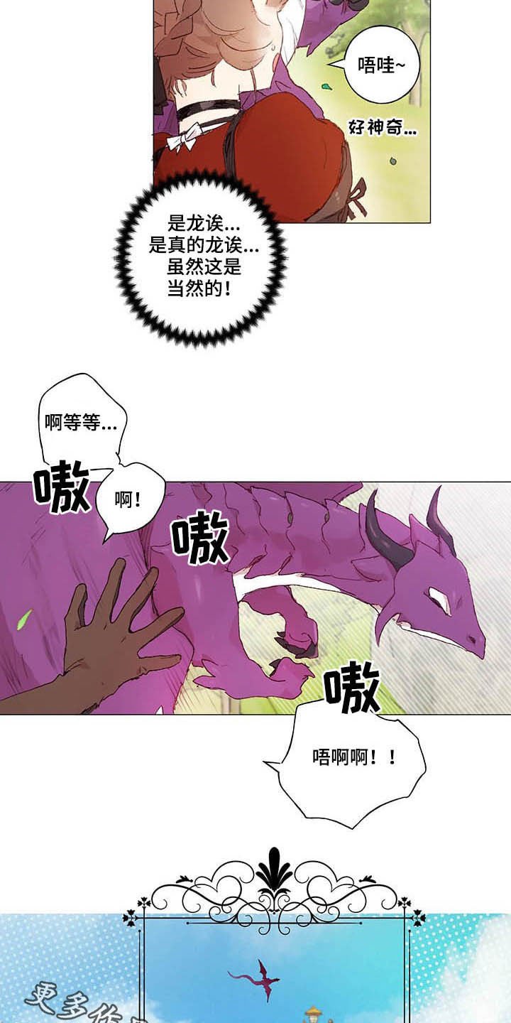 第28章：宠物