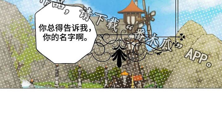 第28章：宠物