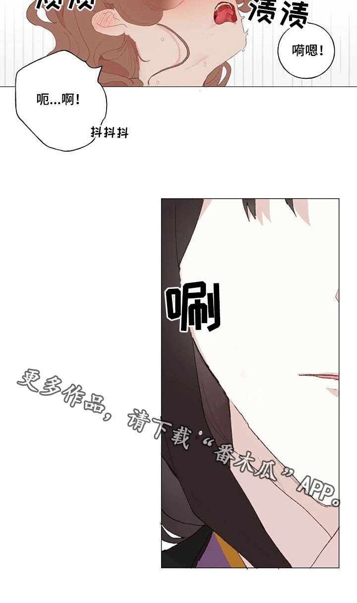 第31章：拒绝求婚