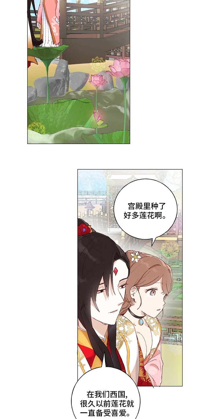 第37章：下次