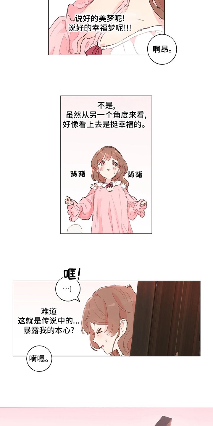 第40章：美梦