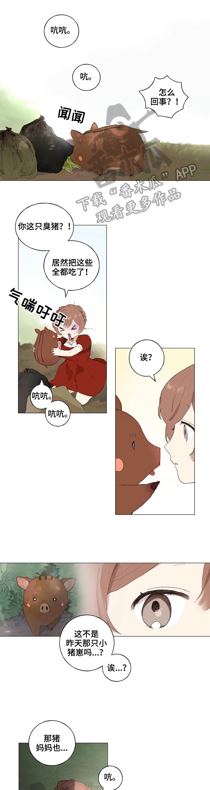 第5章：照片