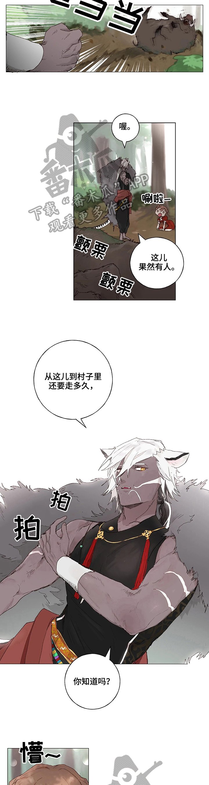 第5章：照片