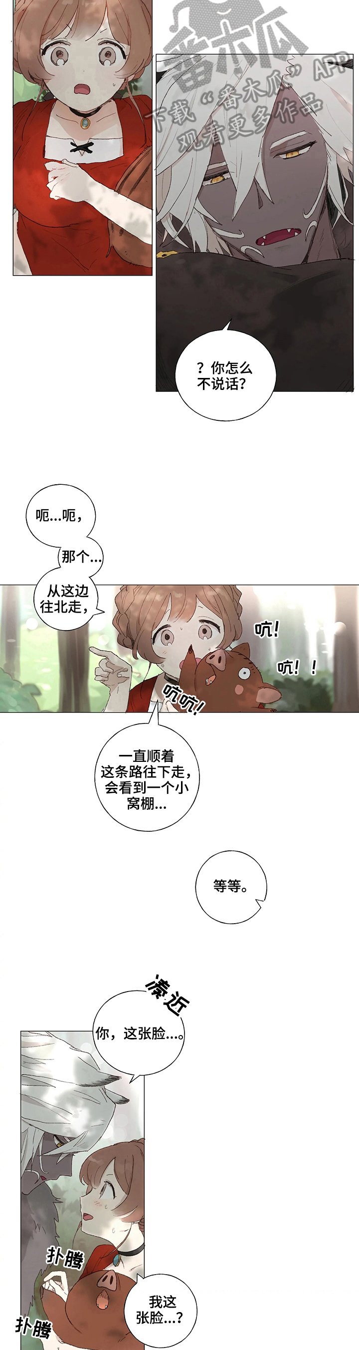 第5章：照片