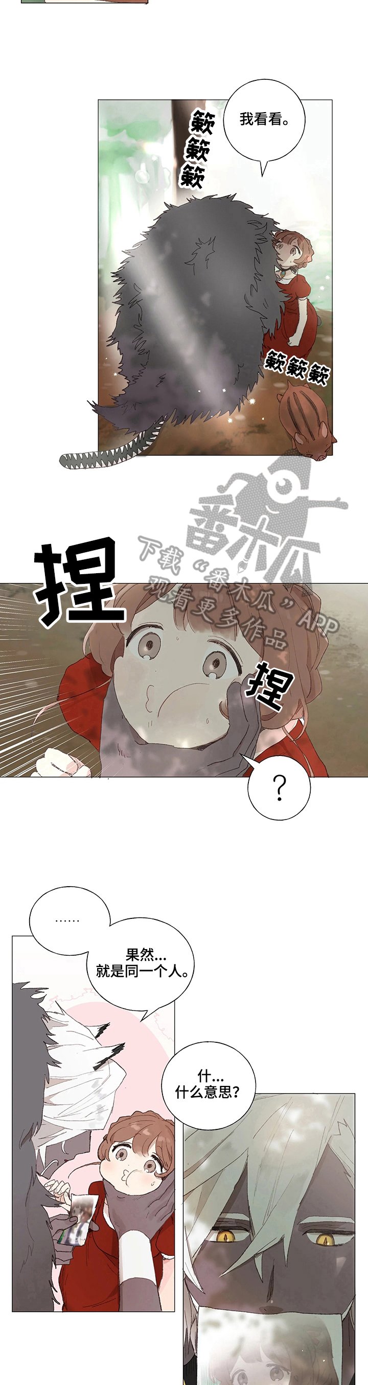 第5章：照片