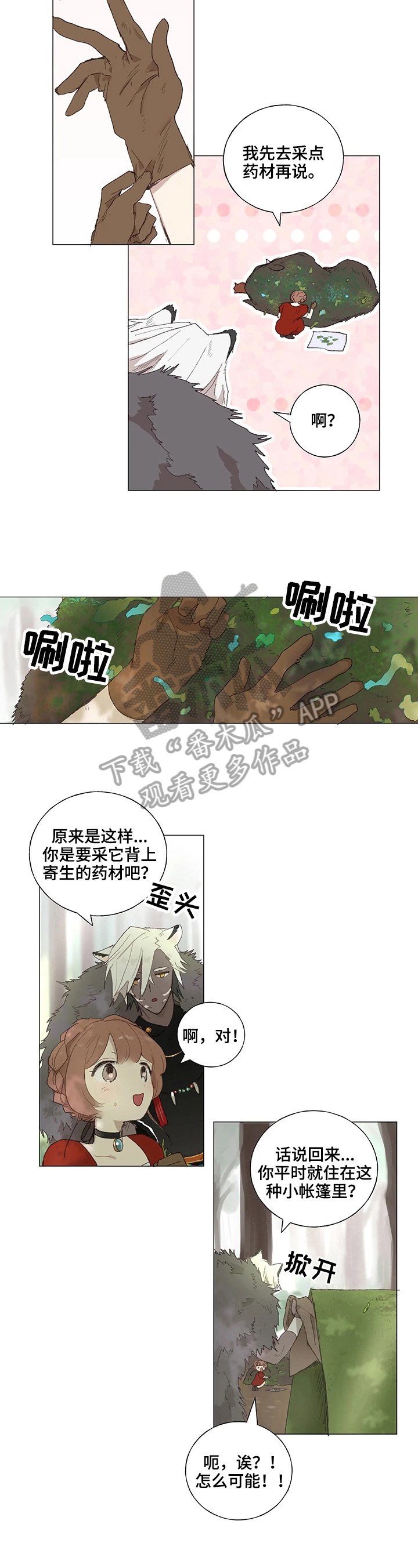第6章：下山