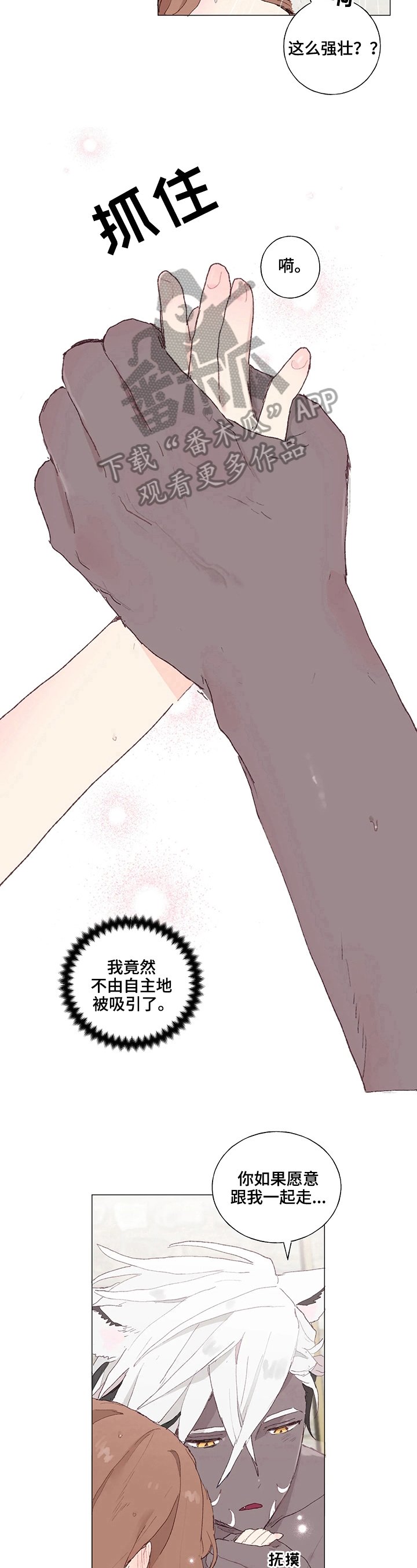 第8章：被吸引