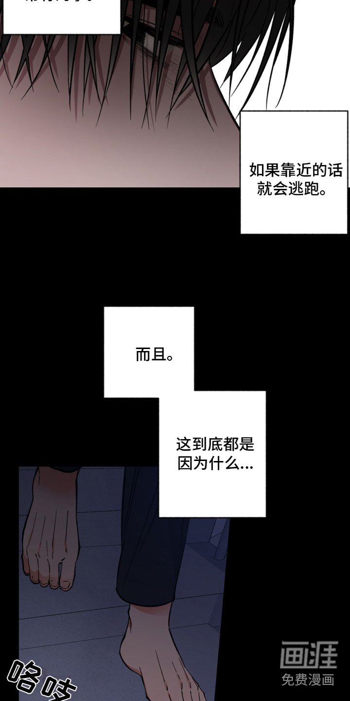 第11章：罪恶感