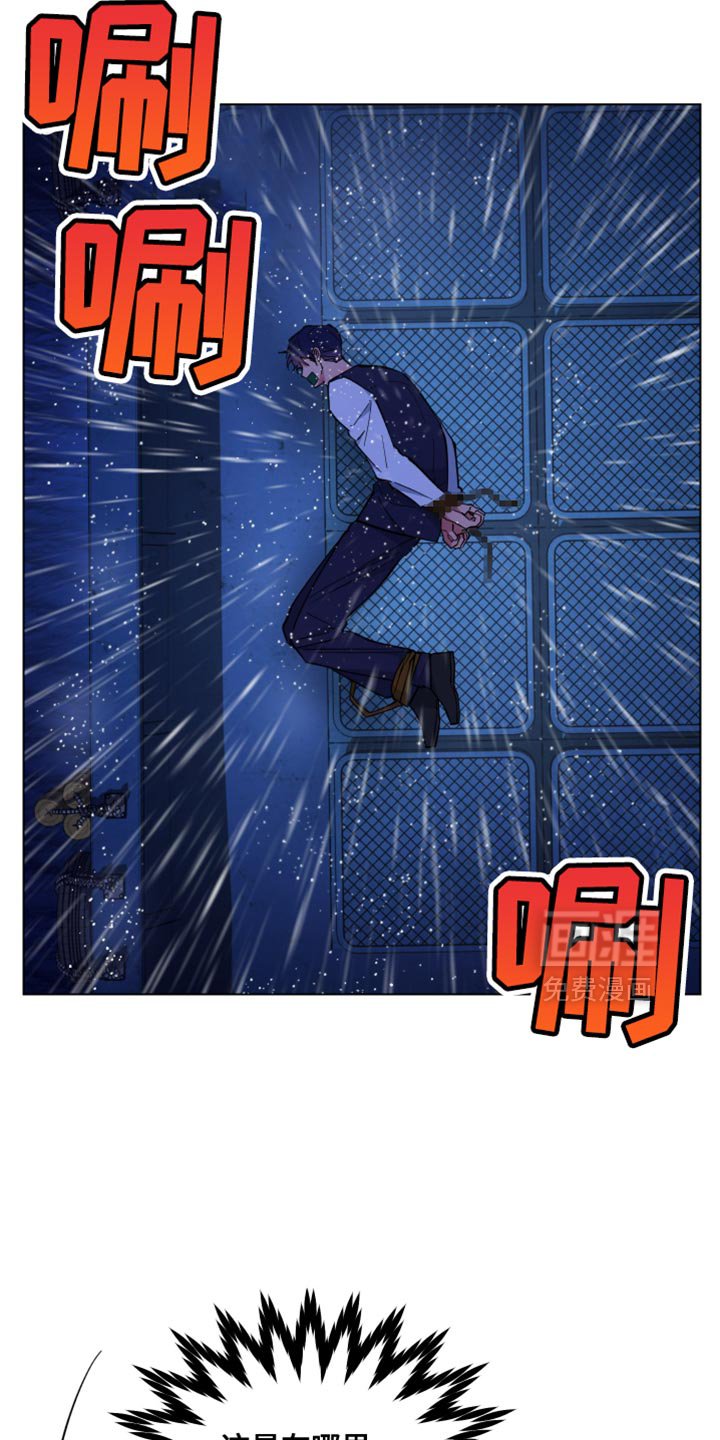 第113章：你的墓地