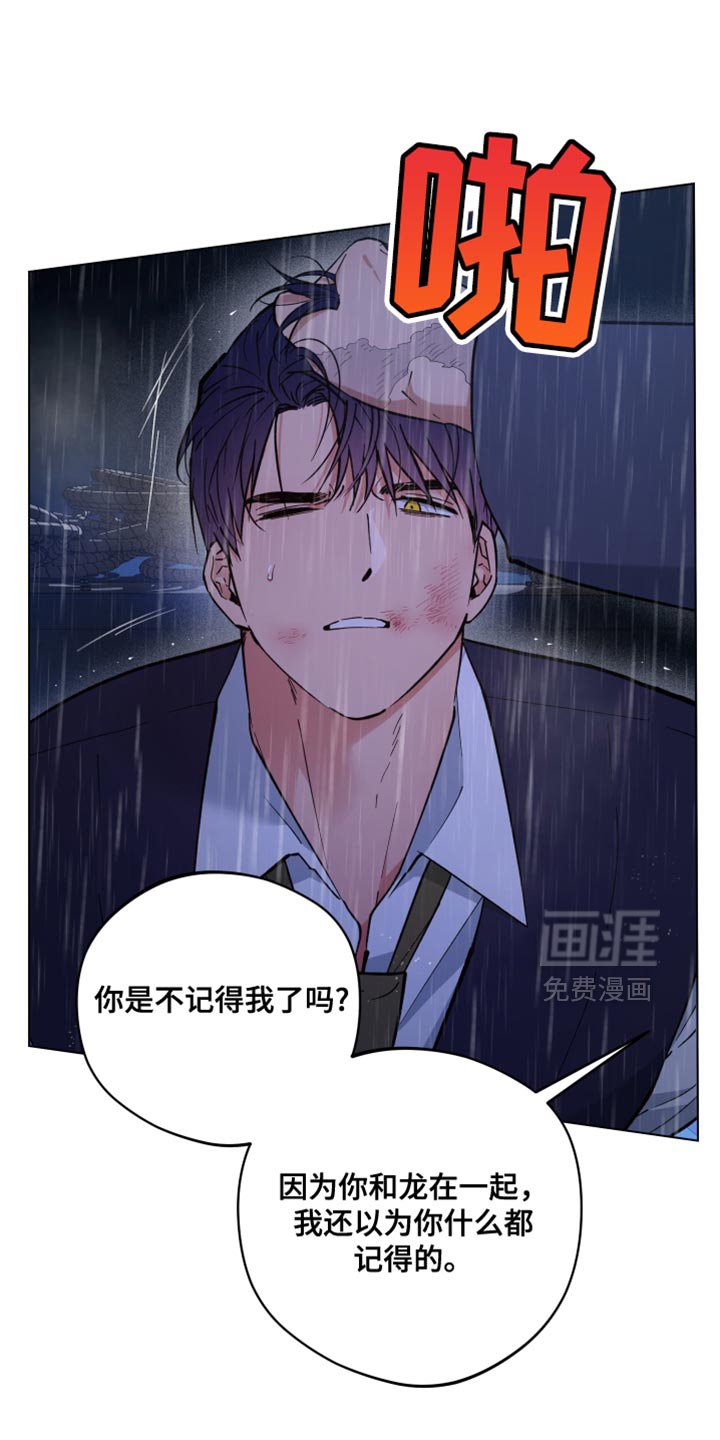 第113章：你的墓地