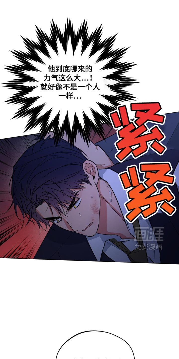 第114章：什么都不记得了
