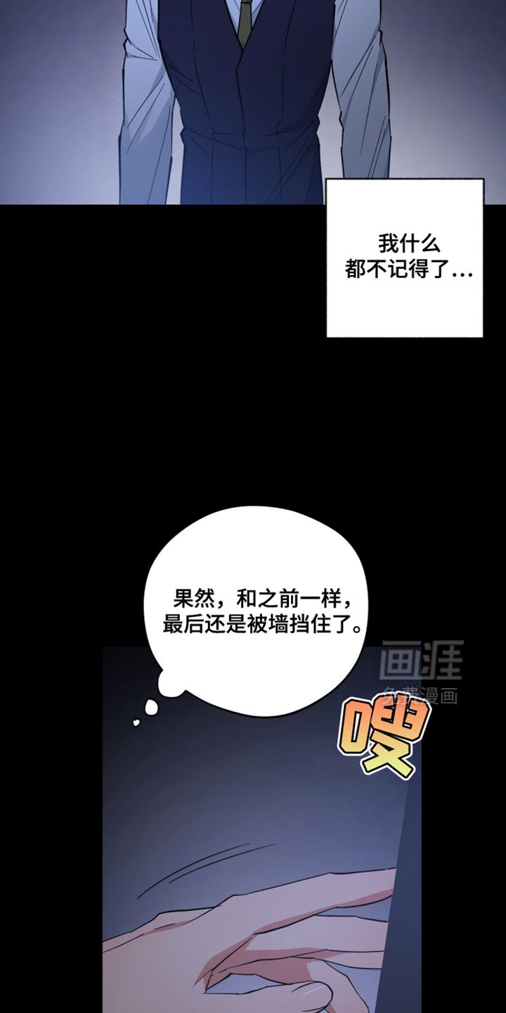 第114章：什么都不记得了