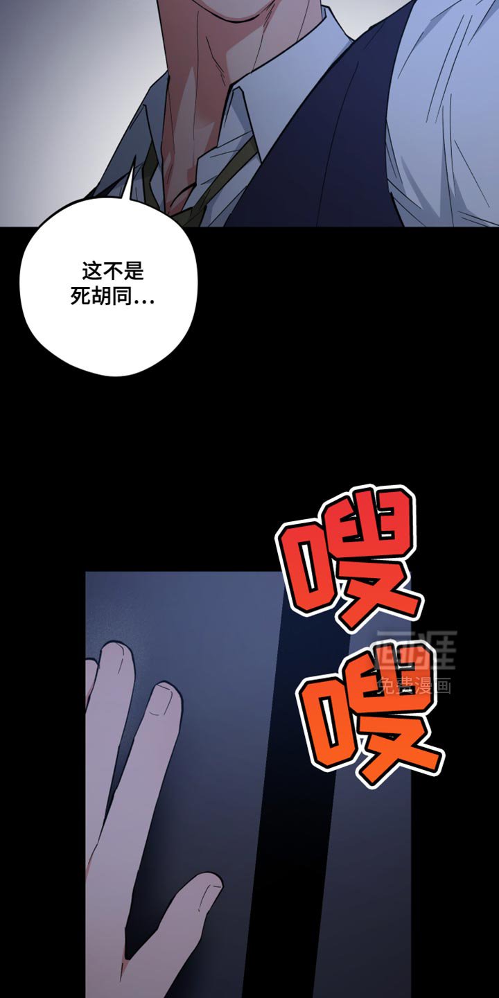 第114章：什么都不记得了
