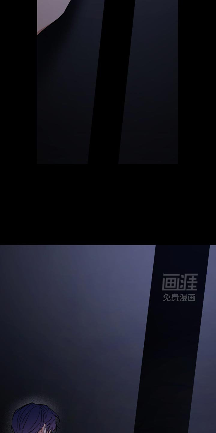 第114章：什么都不记得了