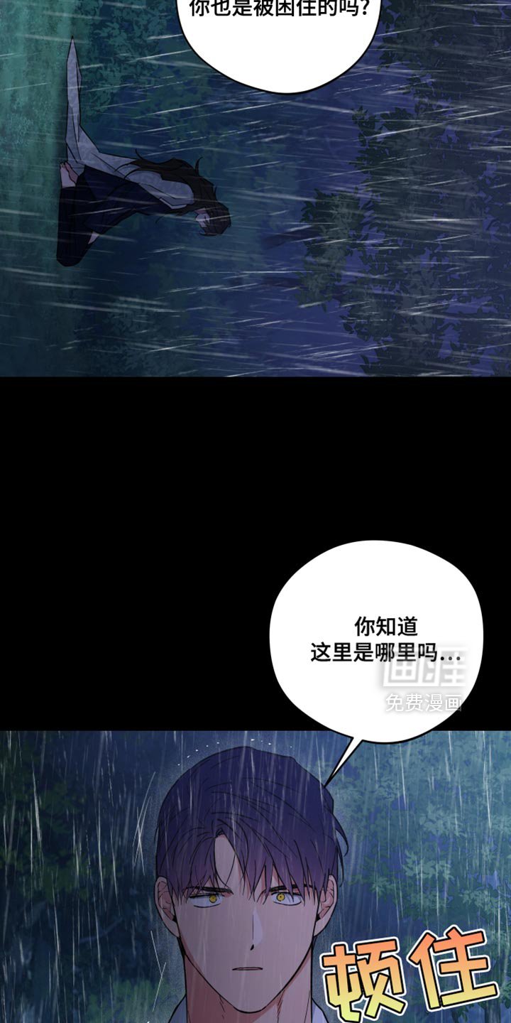 第114章：什么都不记得了