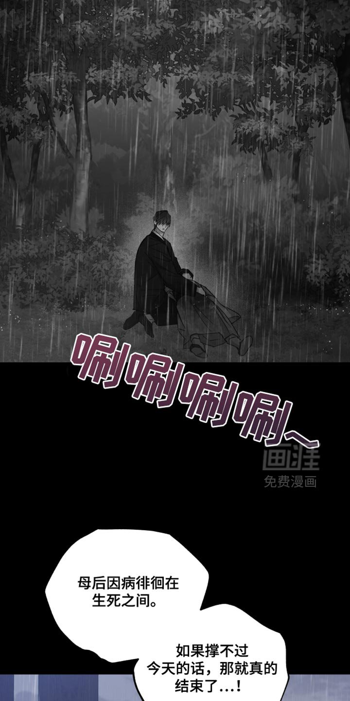 第115章：最后一次见面