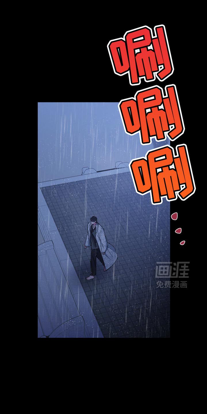 第116章：都是假的