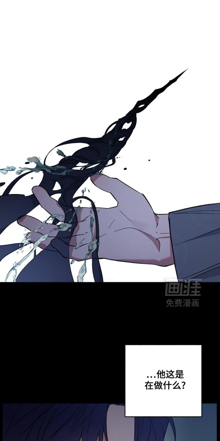 第116章：都是假的