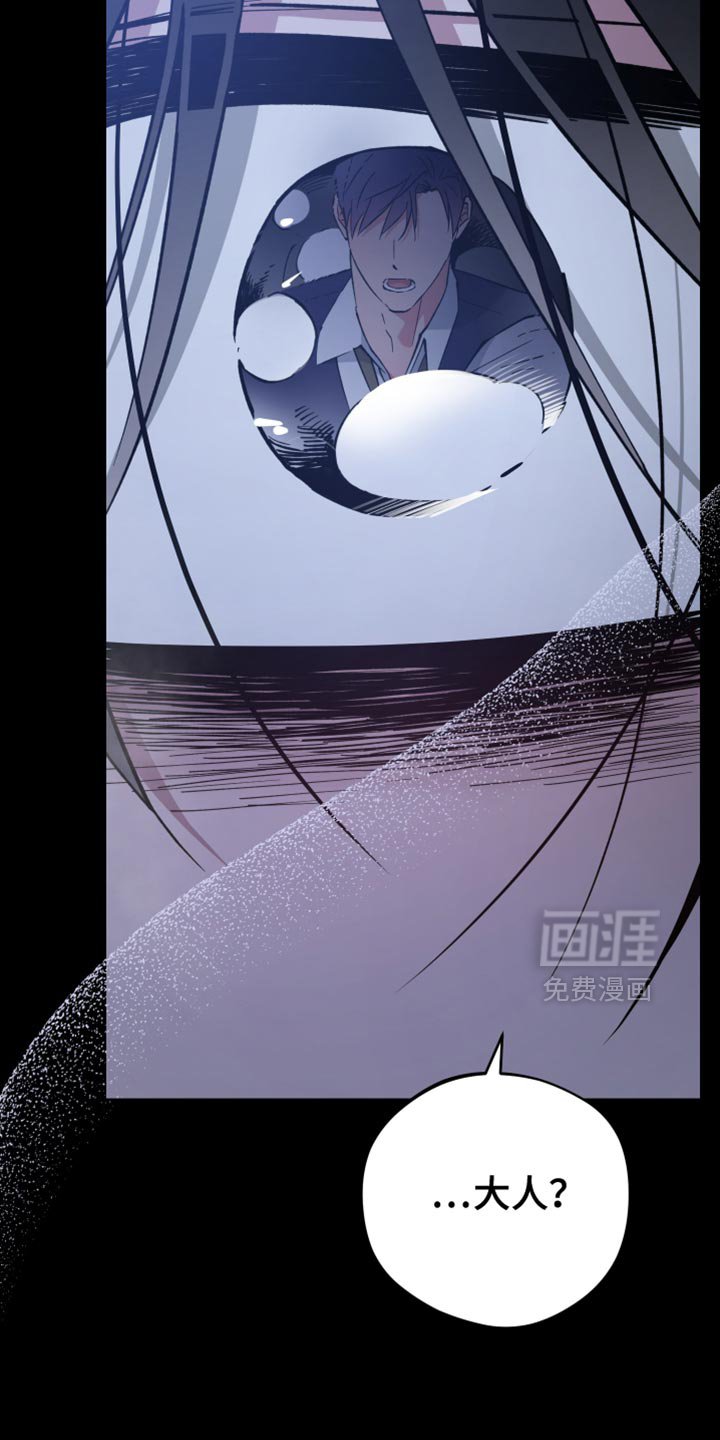 第116章：都是假的