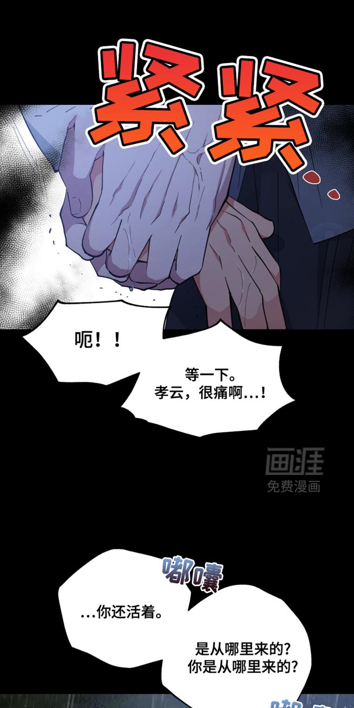 第116章：都是假的