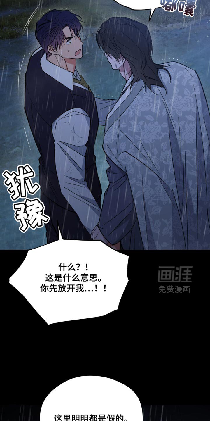 第116章：都是假的